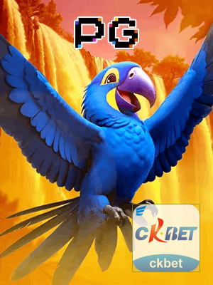 CKBET bônus — cashback 15 por cento e níveis VIP