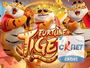 Guia install APK CKBET BR