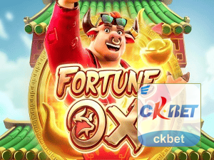 CKBET login — painel de entrada no app oficial