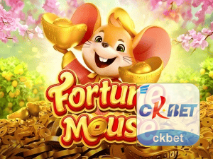 CKBET login — configurações de segurança e proteção de conta